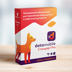 ПО DataMobile, версия Стандарт Pro в Петрозаводске